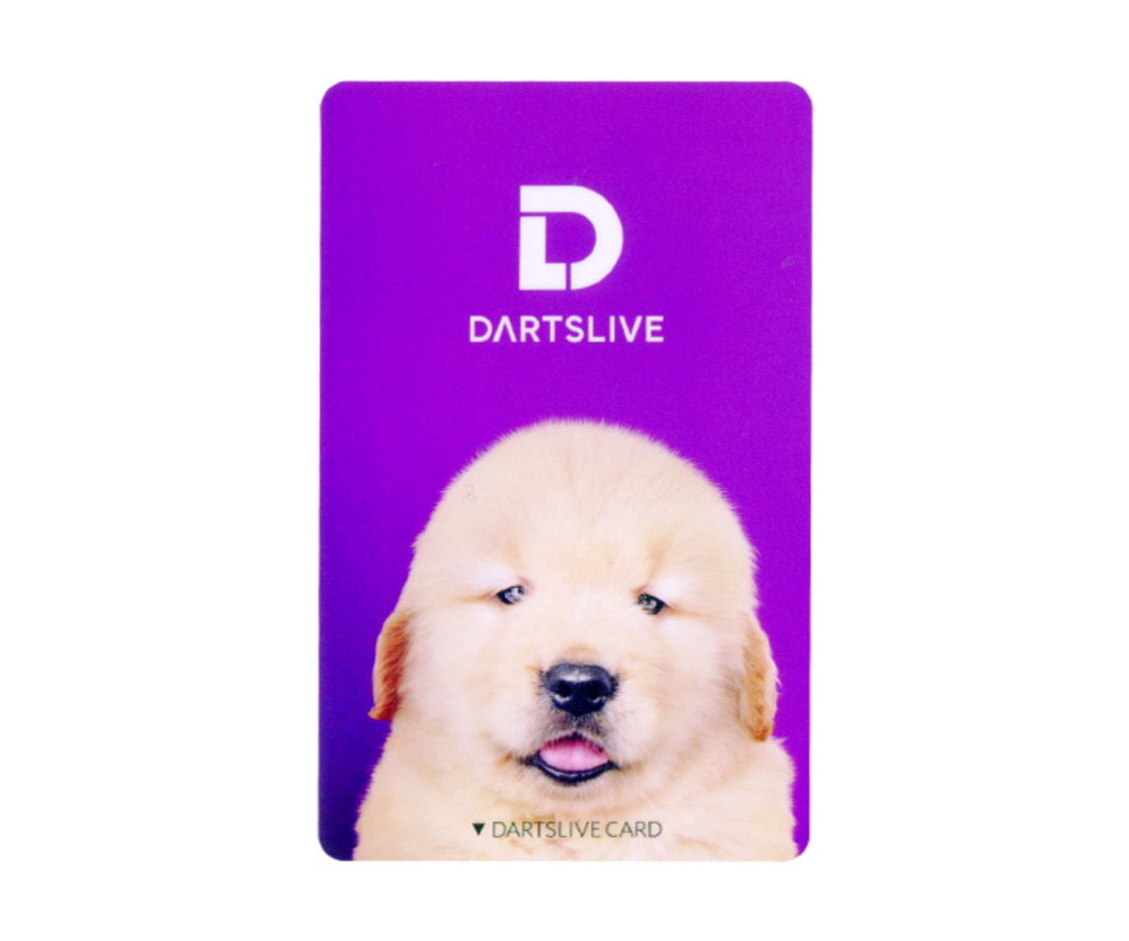 ゲームカード【ダーツライブ】#045 仔犬のゴールデンレトリバー