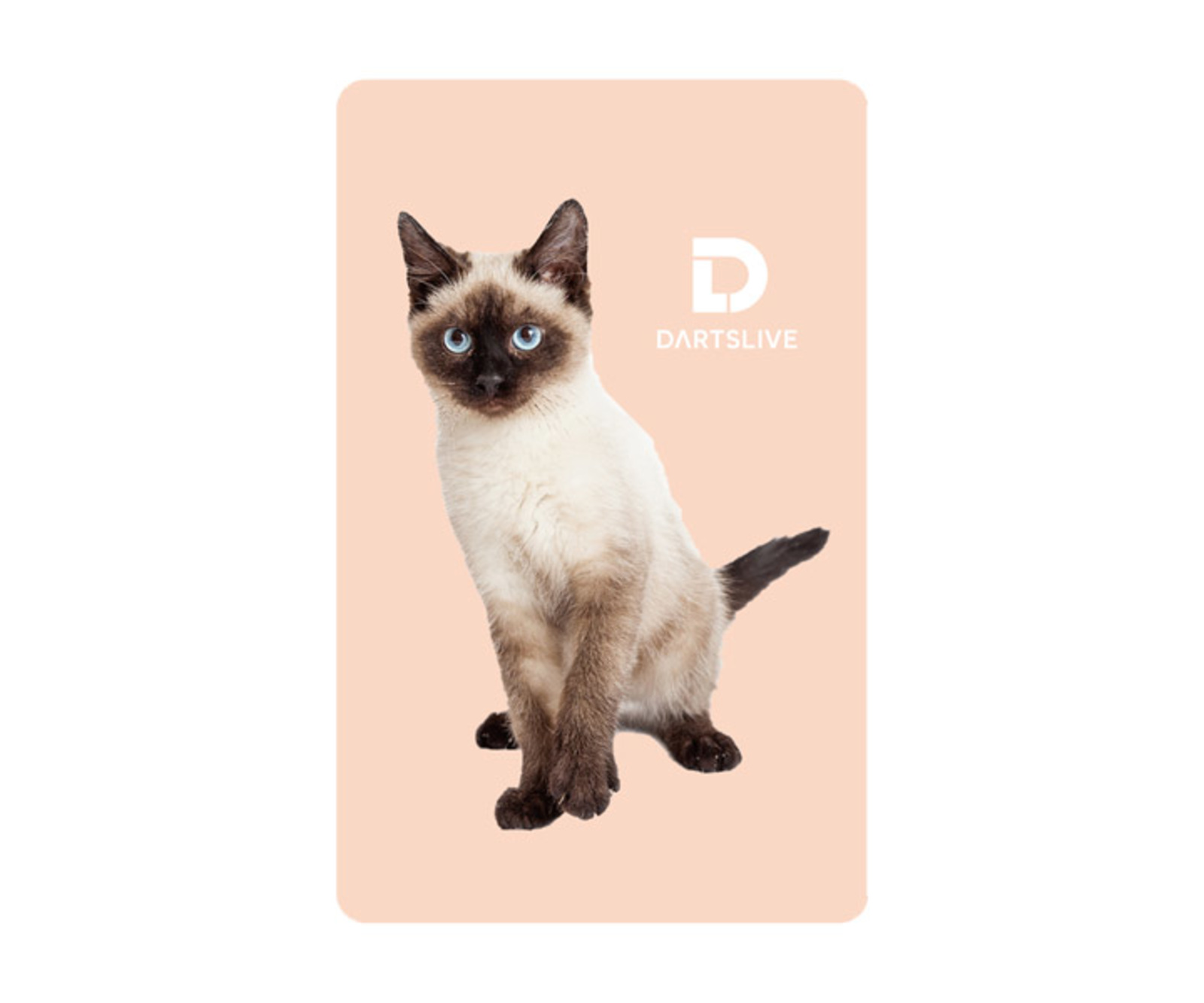 ゲームカード ダーツライブ 047 シャム猫 ダーツ用品はエスダーツ 延べ70万人以上が利用しているダーツショップ