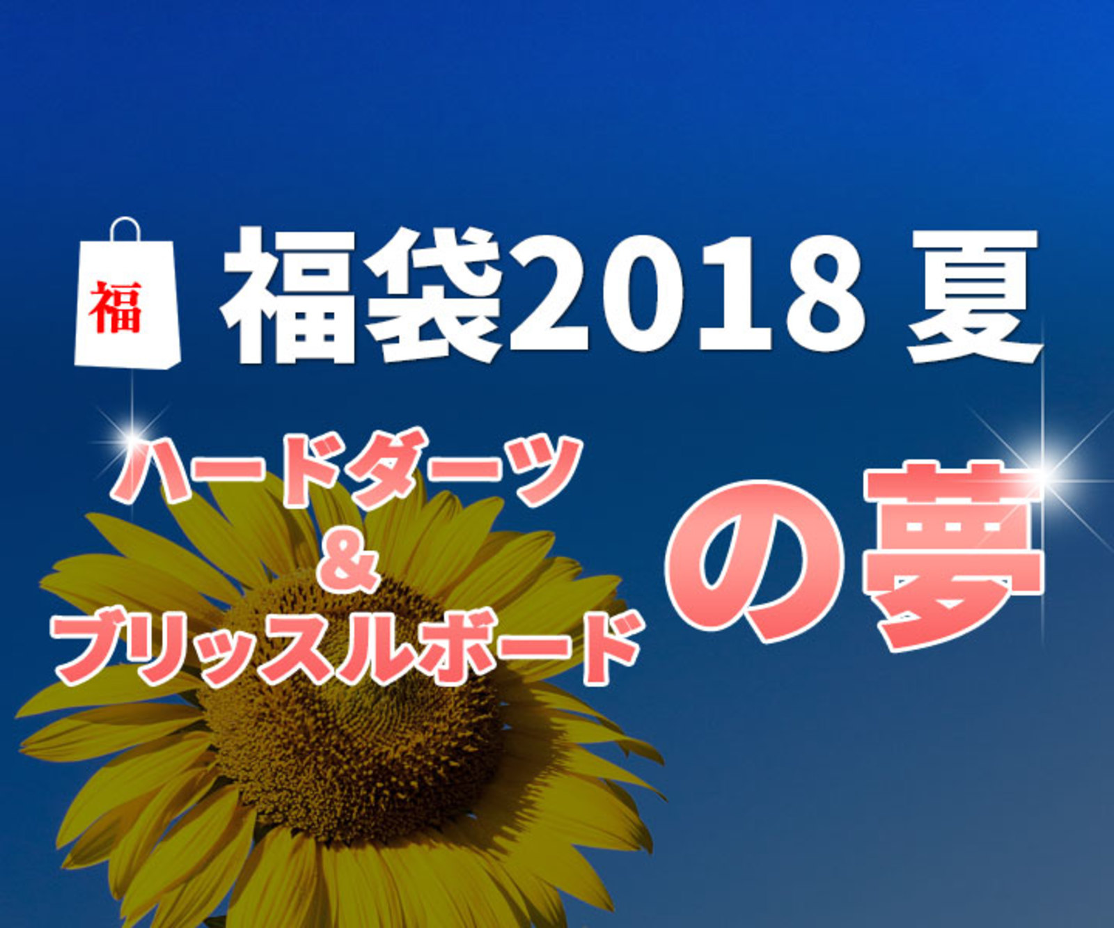 ダーツ福袋18夏 ハードダーツ ボードの夢 福袋 エスダーツ 福袋 ダーツショップ エスダーツ