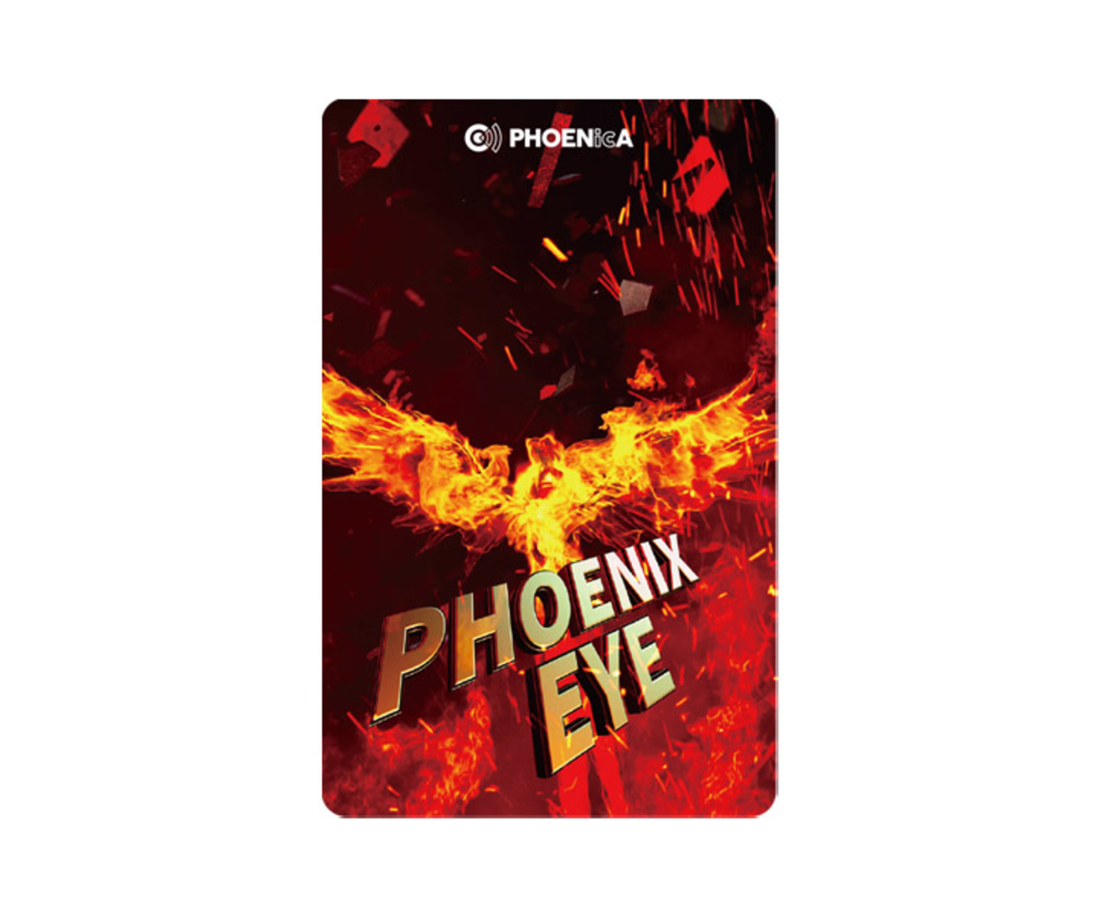 Phenix フェニックス　値下げ❣️160cmミドラー 1日使用のみ美品❣️ ゲームカード【フェニックス】フェニカ 2019_02 VSX MATCH PHOENIX EYE
