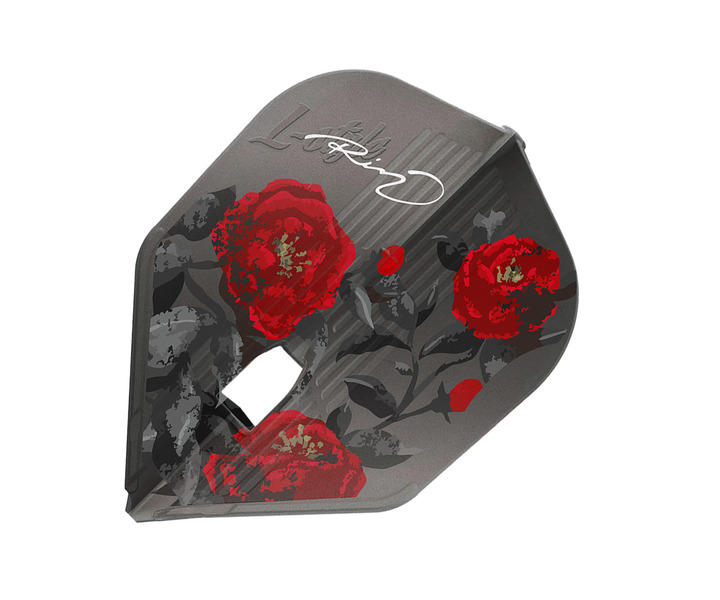 ダーツショップ エスダーツ